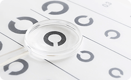 【2日間集中フルコース】